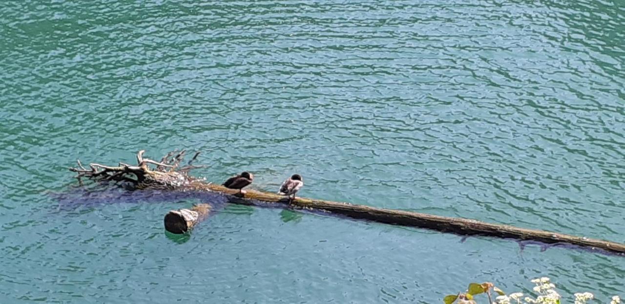 Ze Hu B&B Yuchi Dış mekan fotoğraf